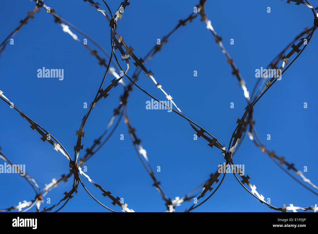 Barbed wire on blue sky background Stock Photo - Alamy