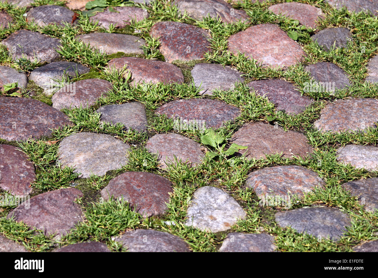 Stone and grass pavement, full frame background Stock Photo