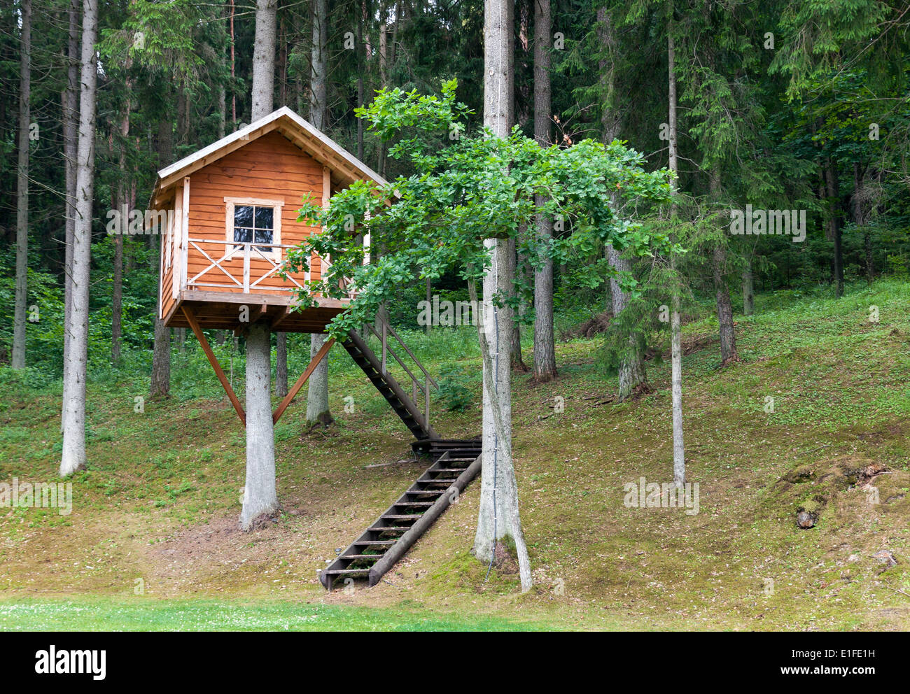 Remote Wooden Tree House In The Forest Stock Photo Alamy