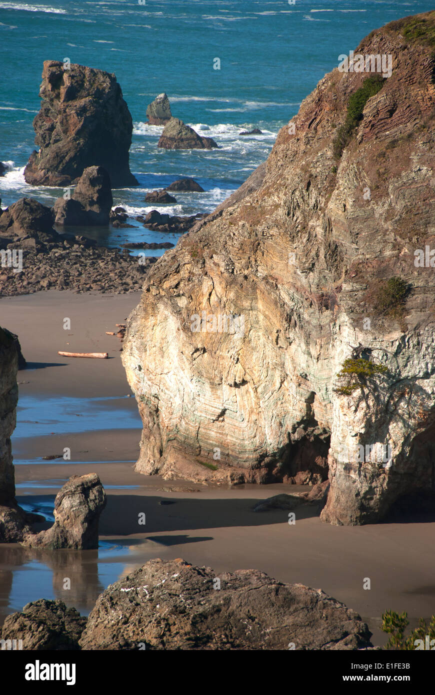 rainbow COAST HWY 101