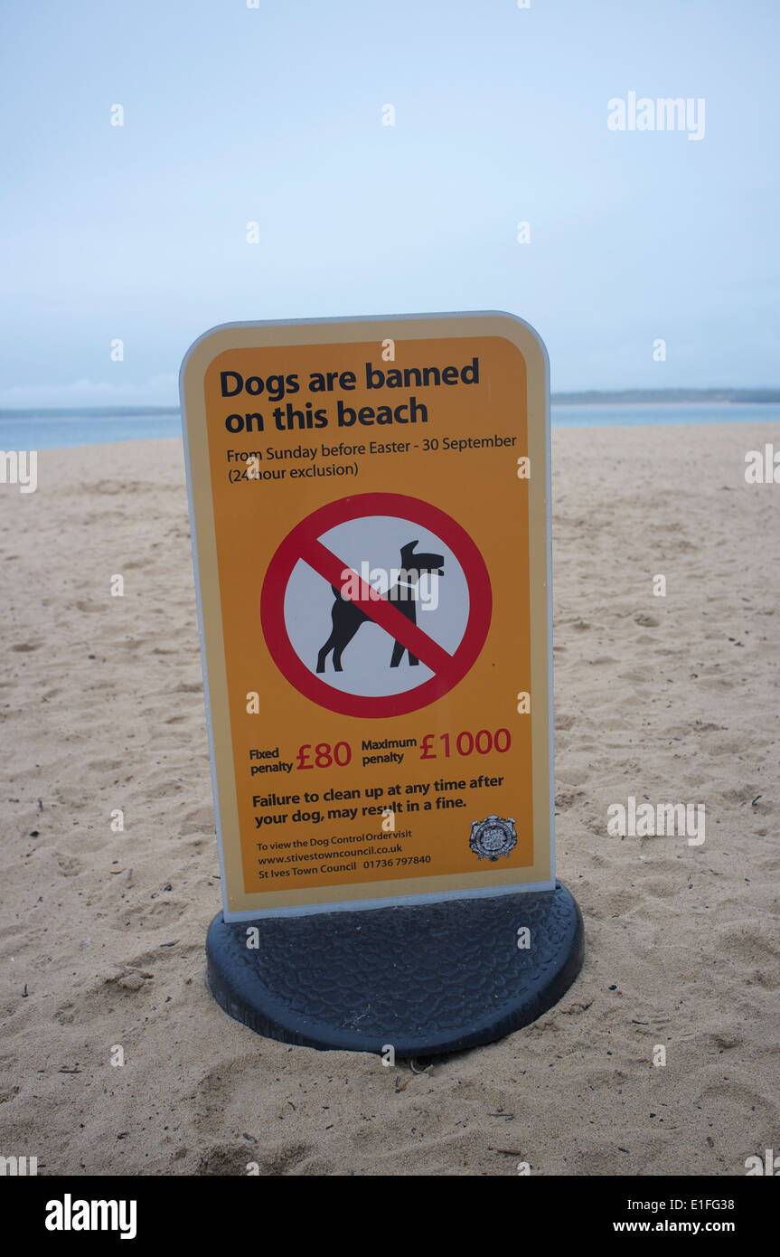 Dogs are banned on this beach Stock Photo Alamy