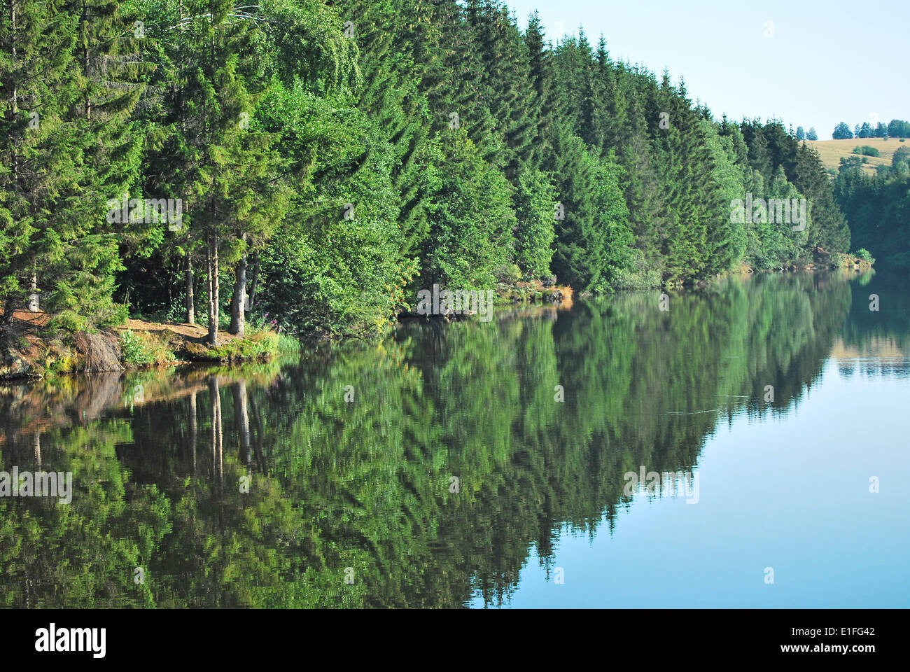 Green trees by the lake hi-res stock photography and images - Alamy