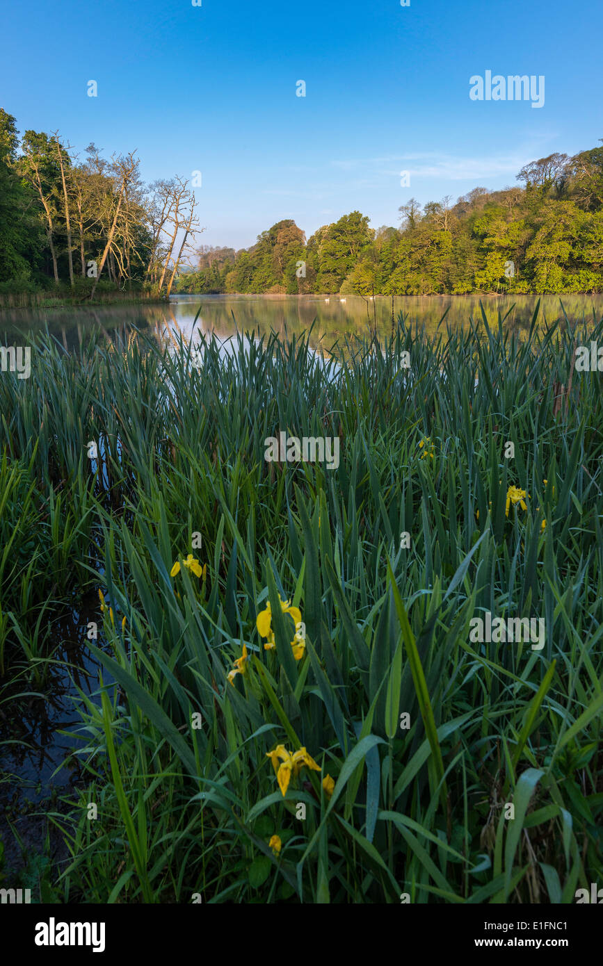 Grounds of country house hotel near village of Brixton in Devon