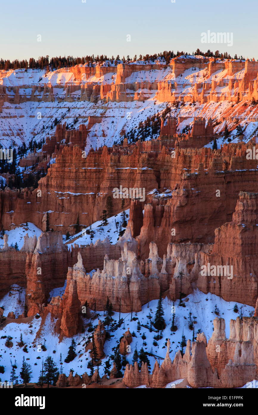 Hoodoos, rim and snow lit by dawn light in winter, Queen's Garden Trail at Sunrise Point, Bryce Canyon National Park, Utah, USA Stock Photo