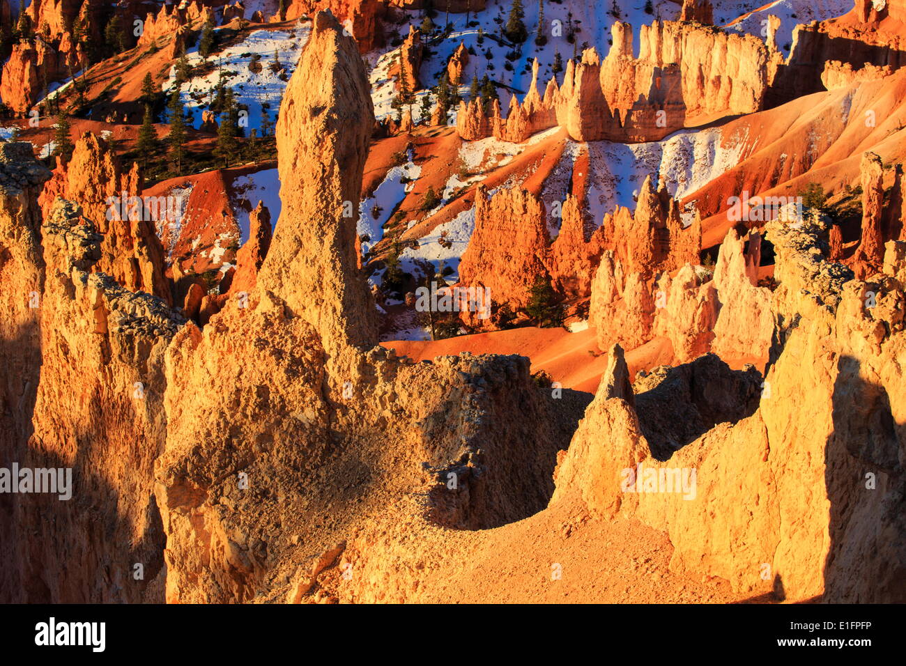 Hoodoos and snow lit by dawn light in winter, Queen's Garden Trail at Sunrise Point, Bryce Canyon National Park, Utah, USA Stock Photo