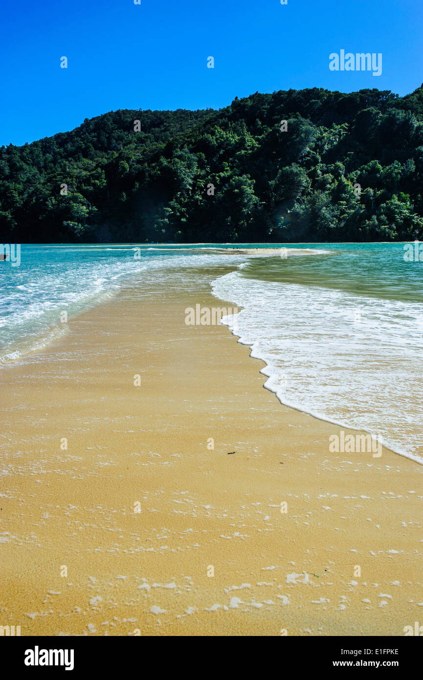 Sand split in the Abel Tasman National Park, South Island, New Zealand ...