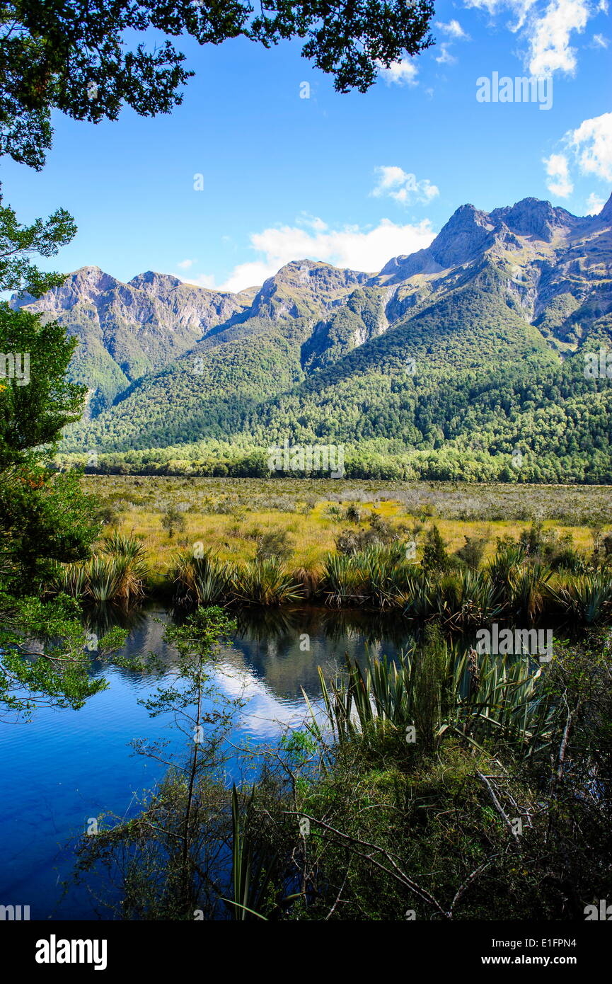 Mountains reflecting in the Mirror Lakes, Eglinton Valley, South Island, New Zealand, Pacific