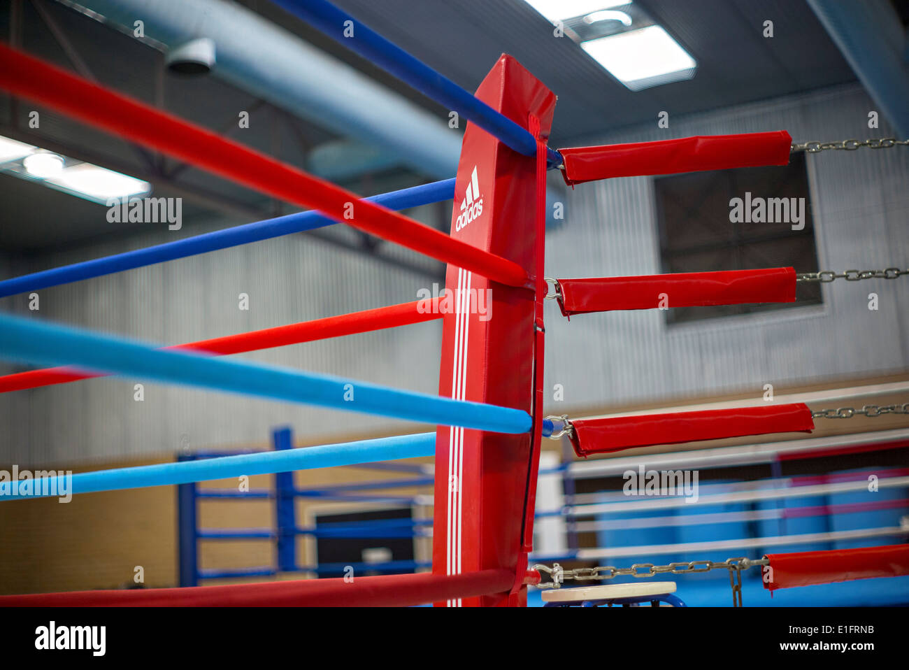 Boxing Ring At The Australian Institute Of Sport, Canberra, Australia Stock Photo