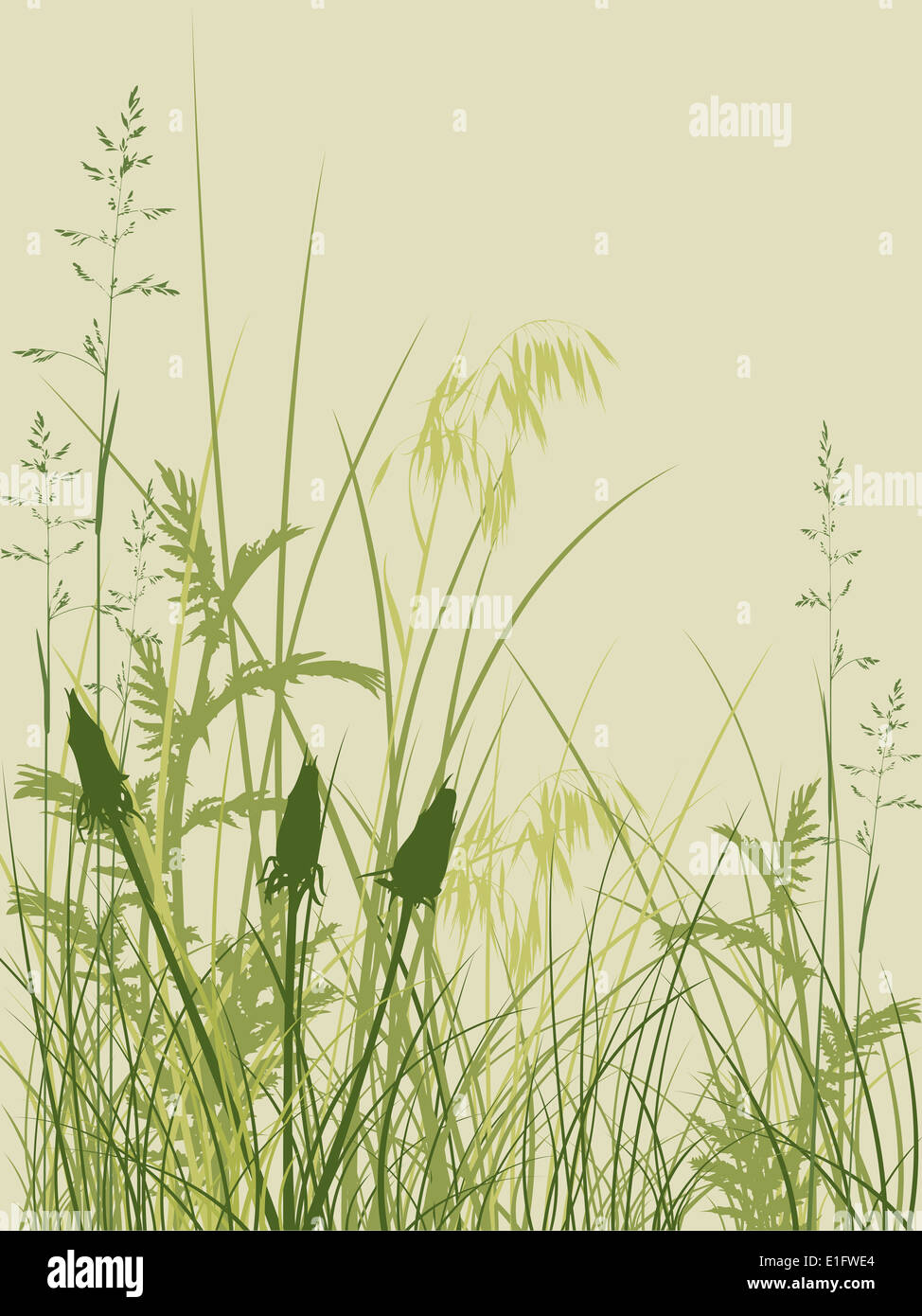 background with green grass and flowers Stock Photo - Alamy