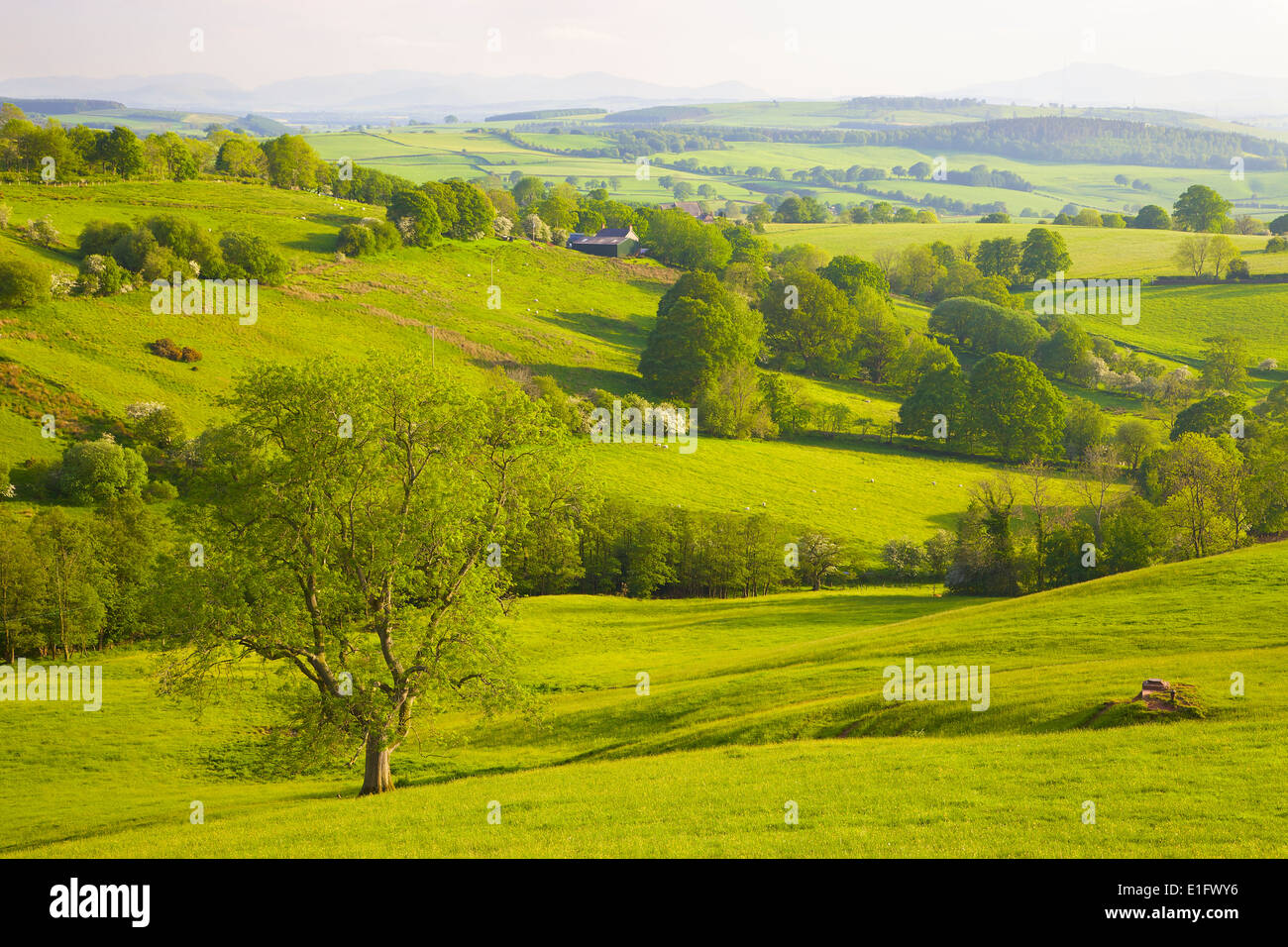 Ainstable hi-res stock photography and images - Alamy