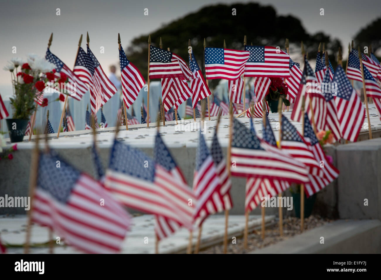 On Memorial Day tiny American flags are placed at each grave at Fort ...