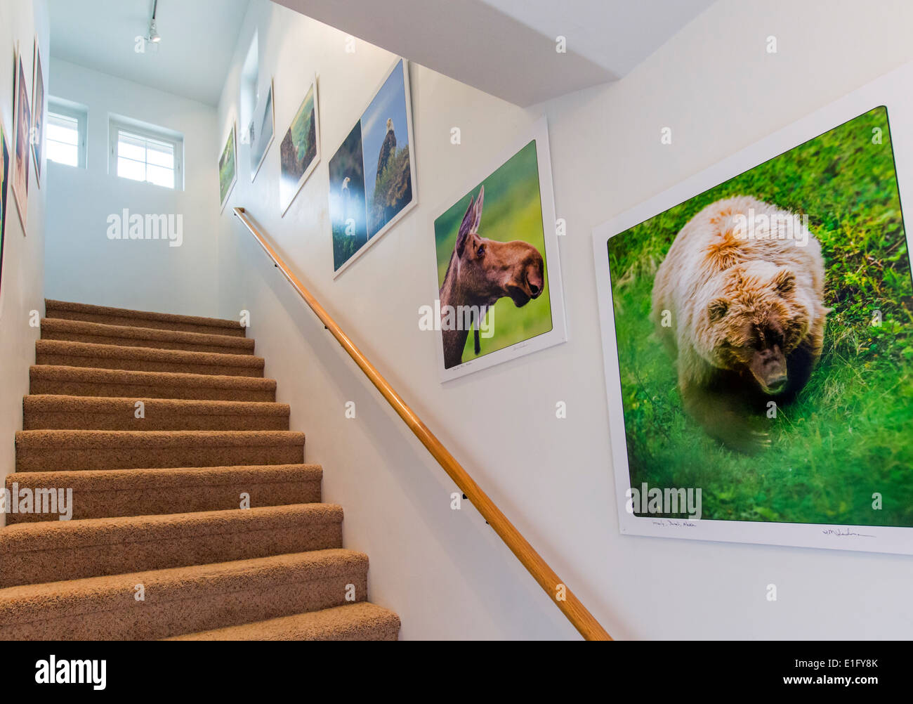 Office stairway decorated with fine art Gicleé photographic prints Stock Photo
