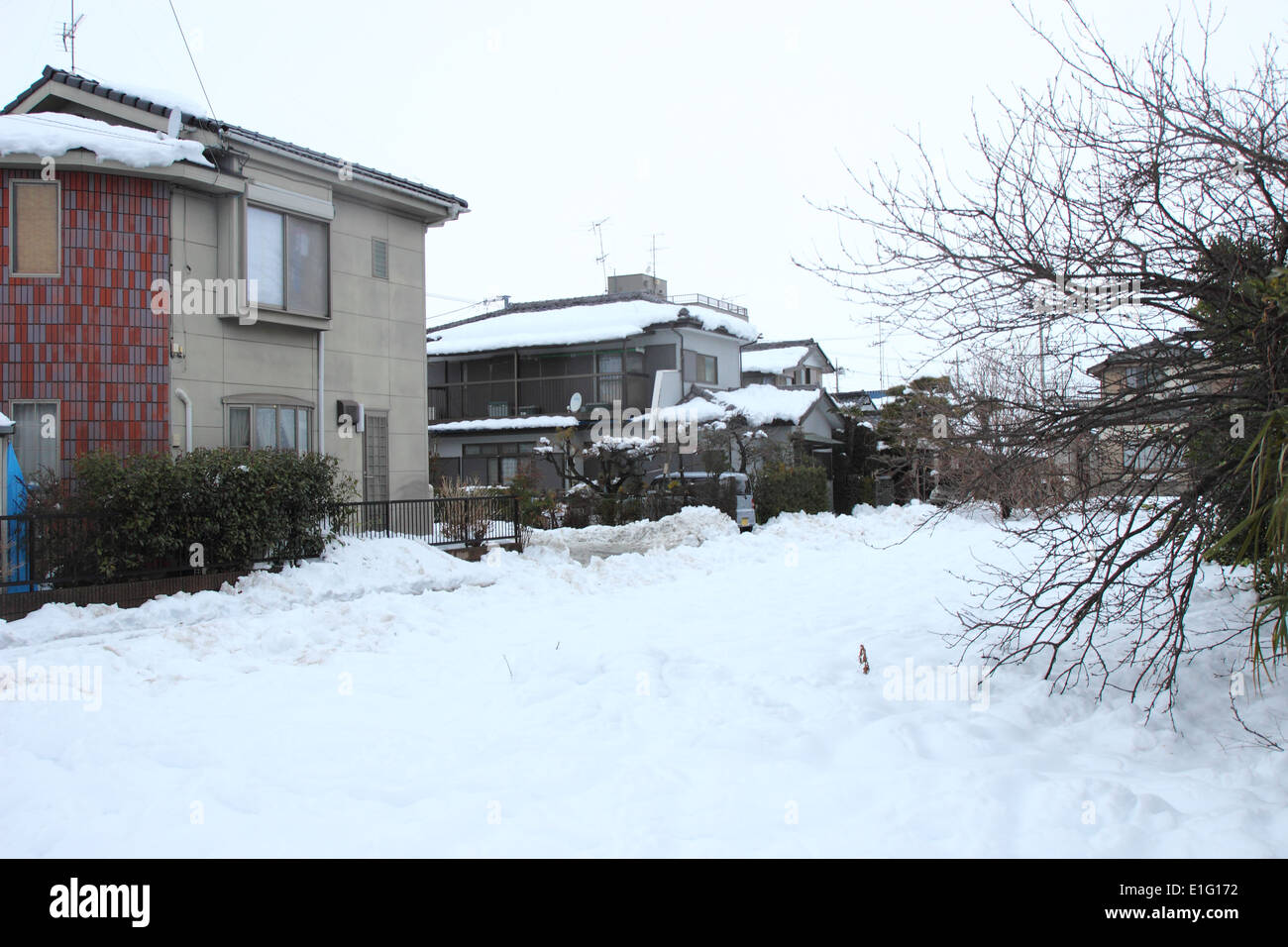 Japan Feb14 The heaviest snow in decades in Tokyo and other areas of