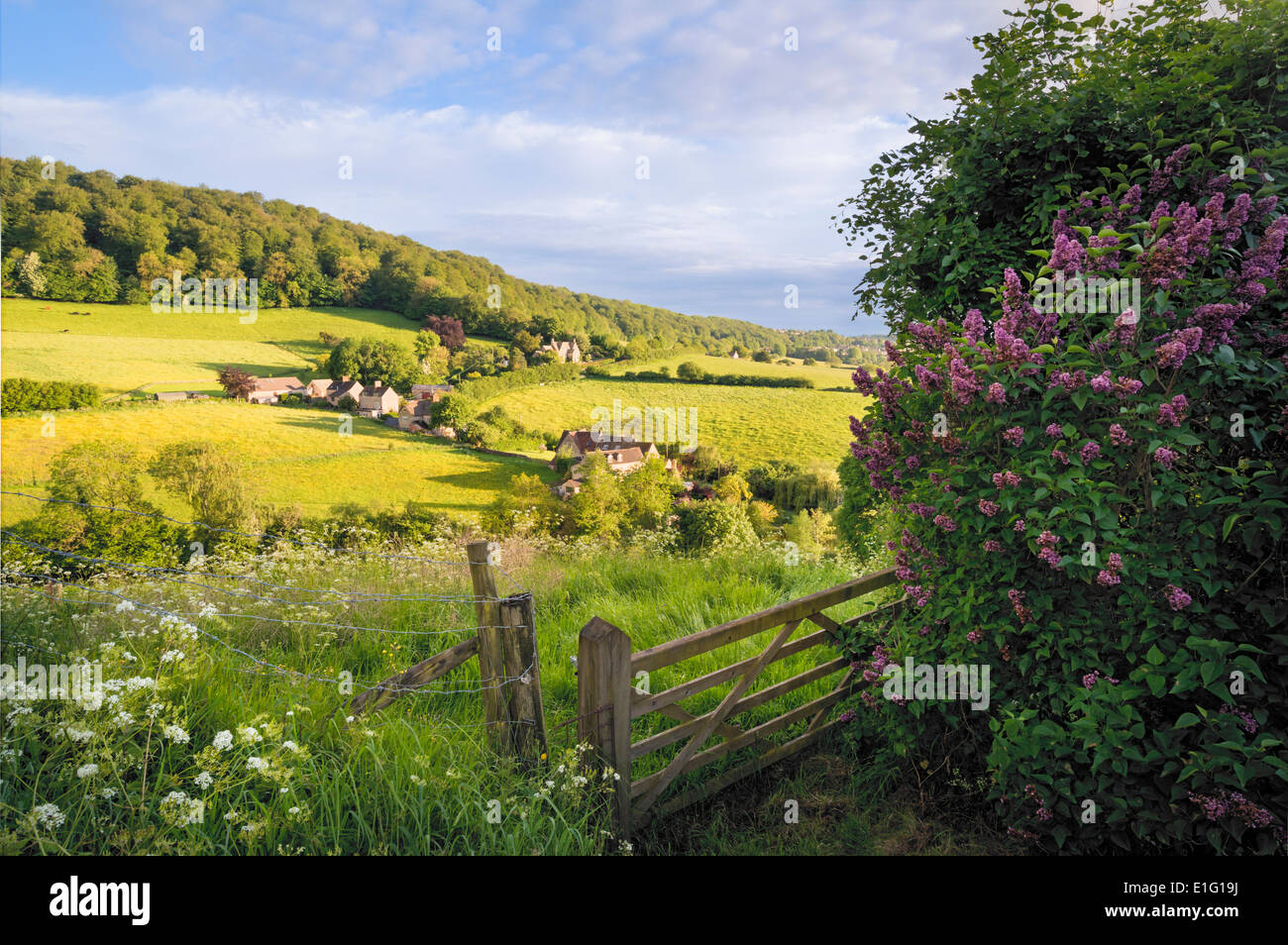 View of Slad Valley, Stroud, Gloucestershire in summer; Stock Photo