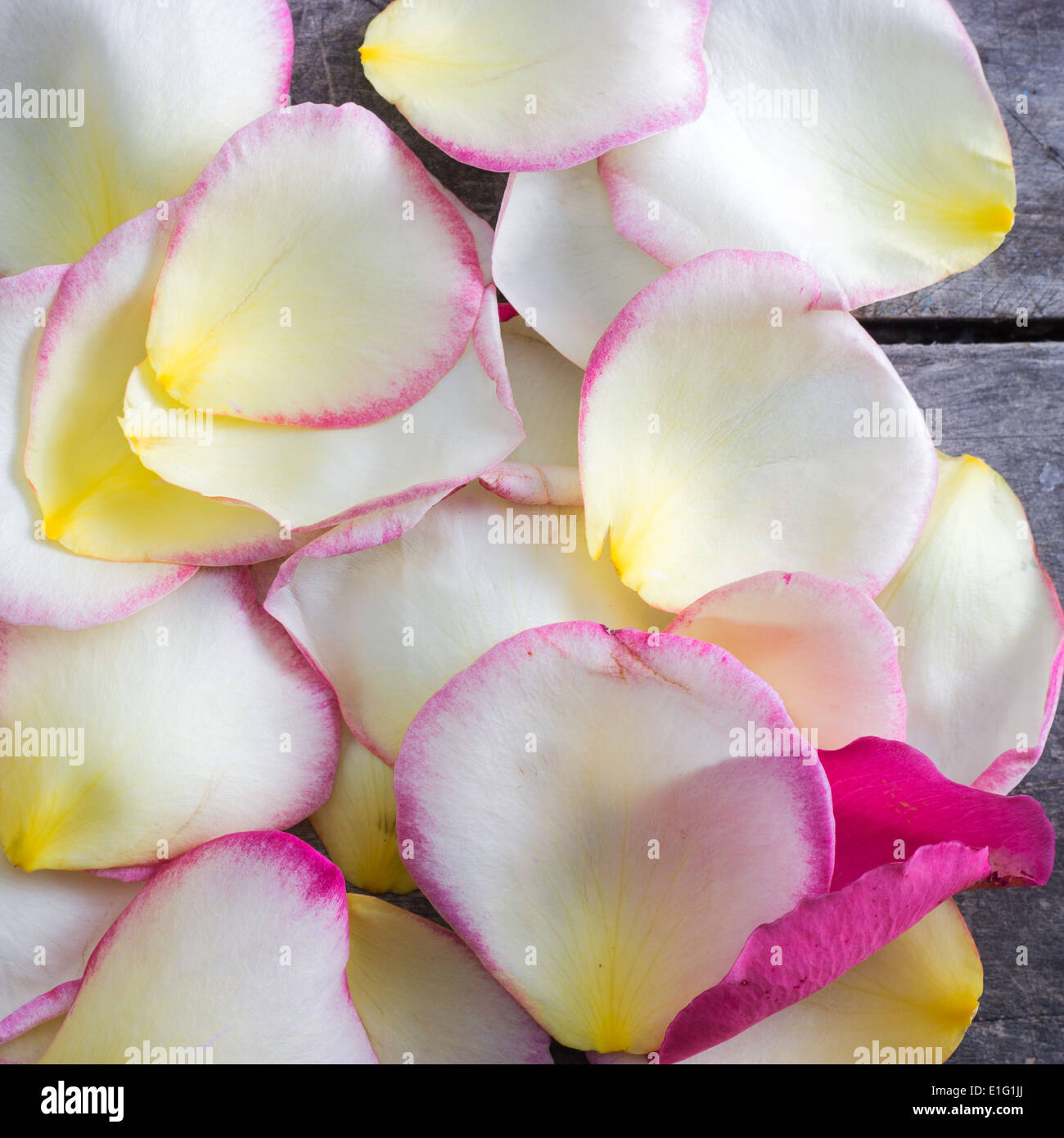 Rose petal over wooden background, from above Stock Photo