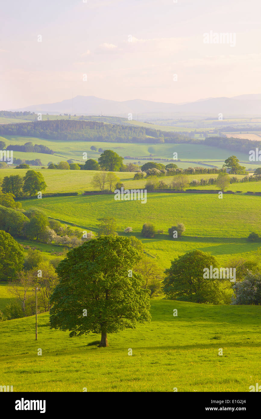 Ainstable hi-res stock photography and images - Alamy
