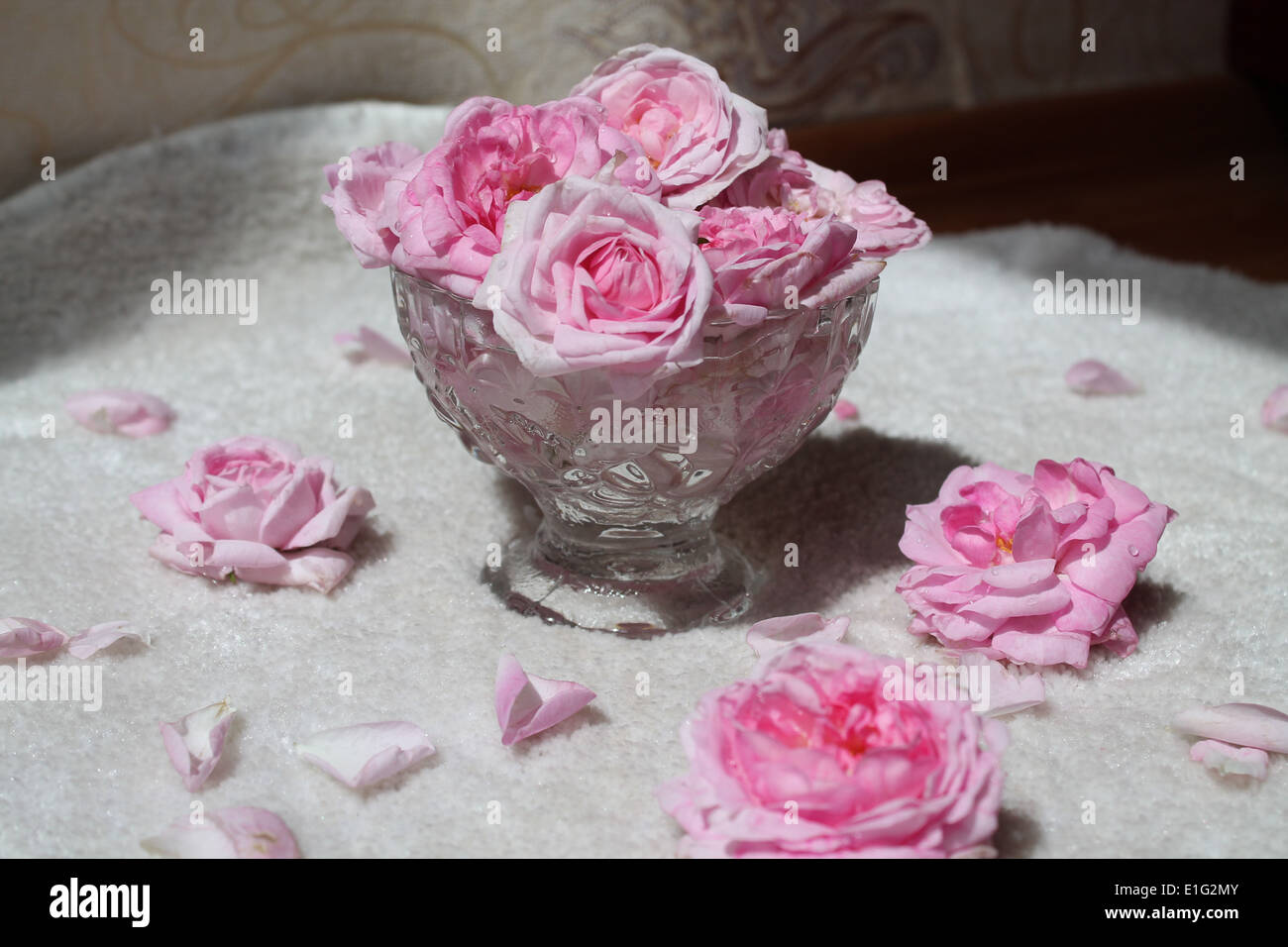 bouquet of spring aroma pink roses in crystal vase Stock Photo
