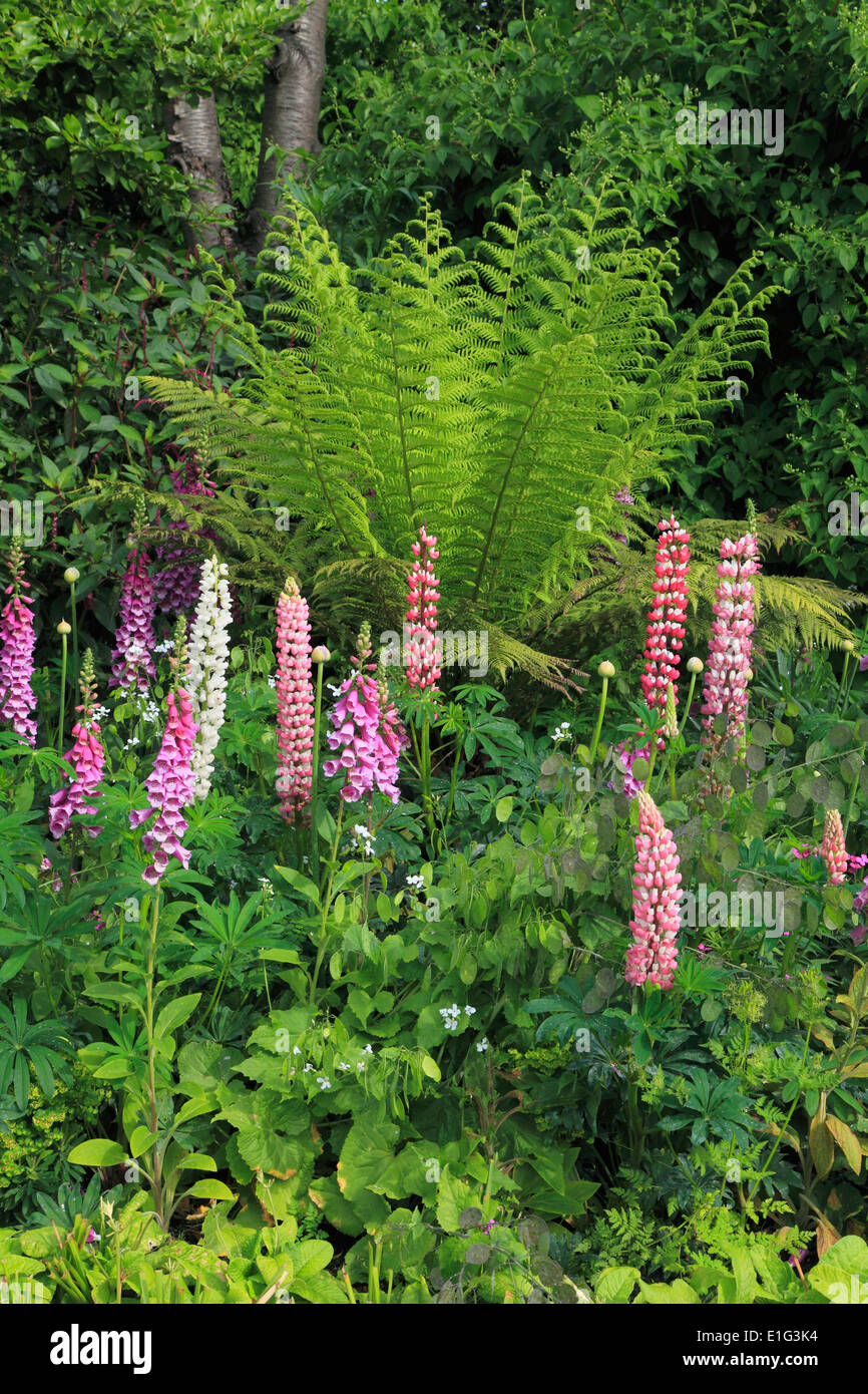 Hyde park london flowers hires stock photography and images Alamy