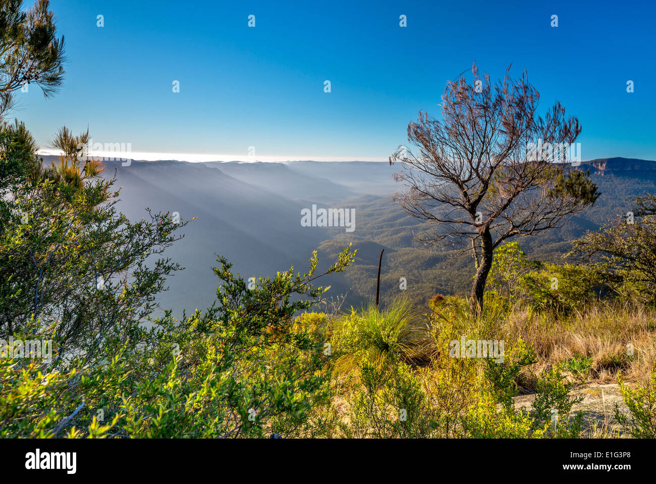 Blue mountains sydney hi-res stock photography and images - Alamy