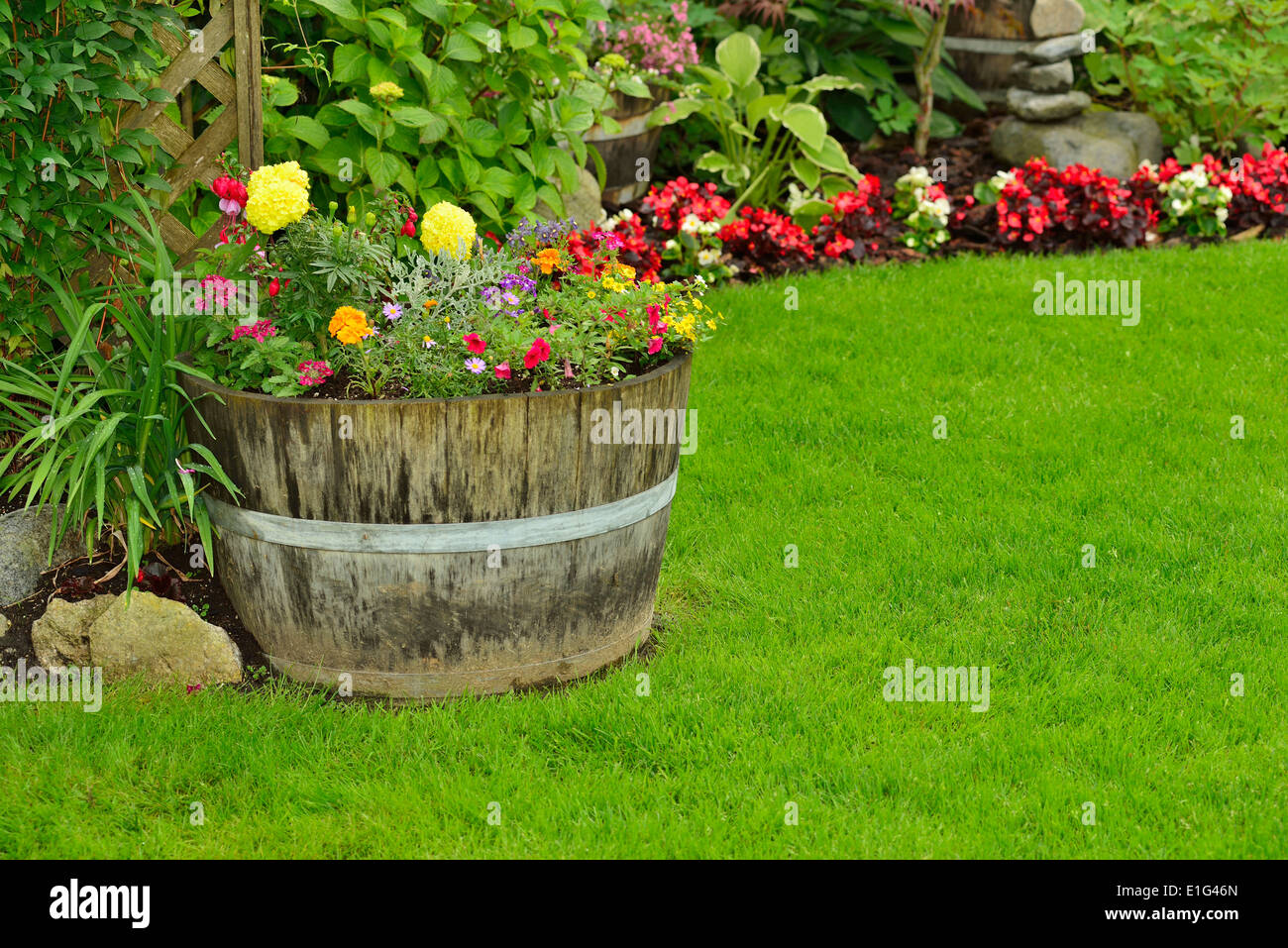 A garden flower arrangement full of annuals and perennials Stock Photo Alamy