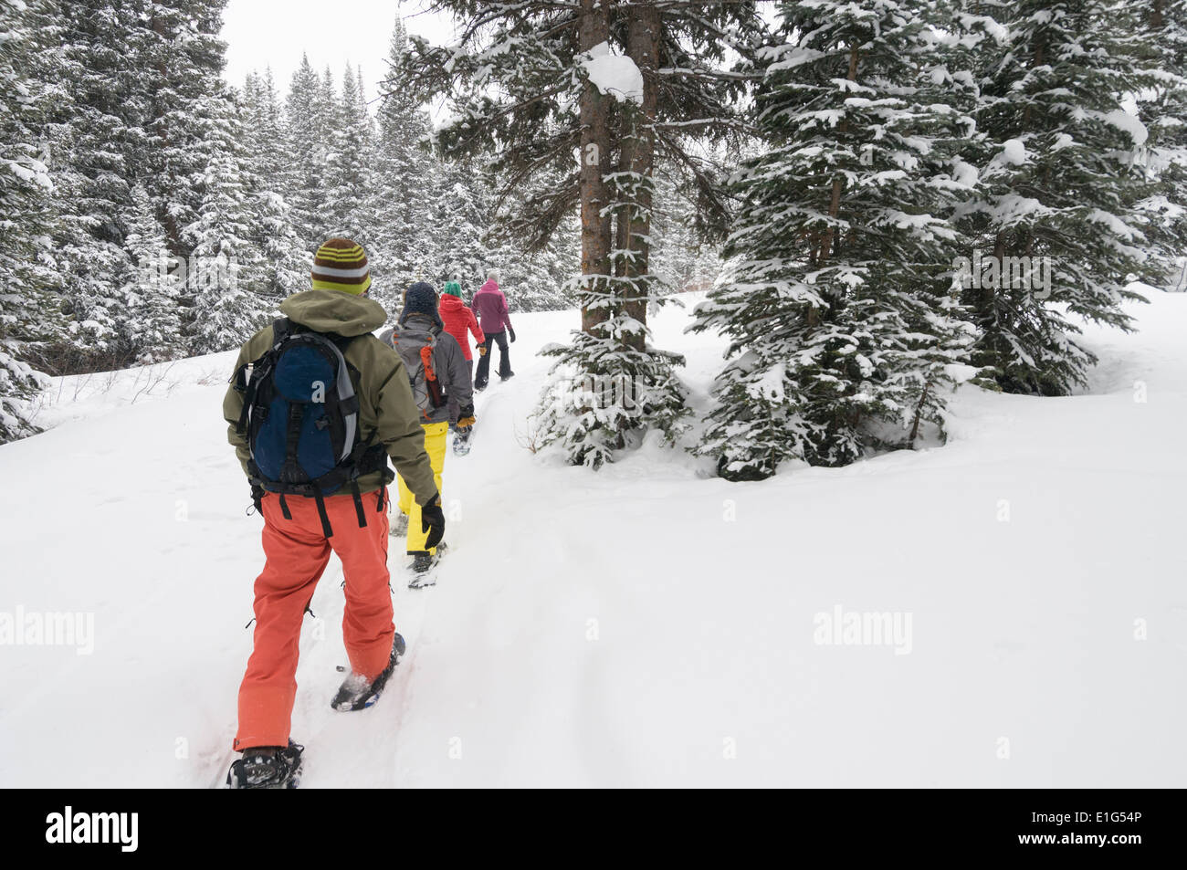 A group of adults snowshoeing on a snowy day near Molas Pass, Silverton, Colorado. Stock Photo