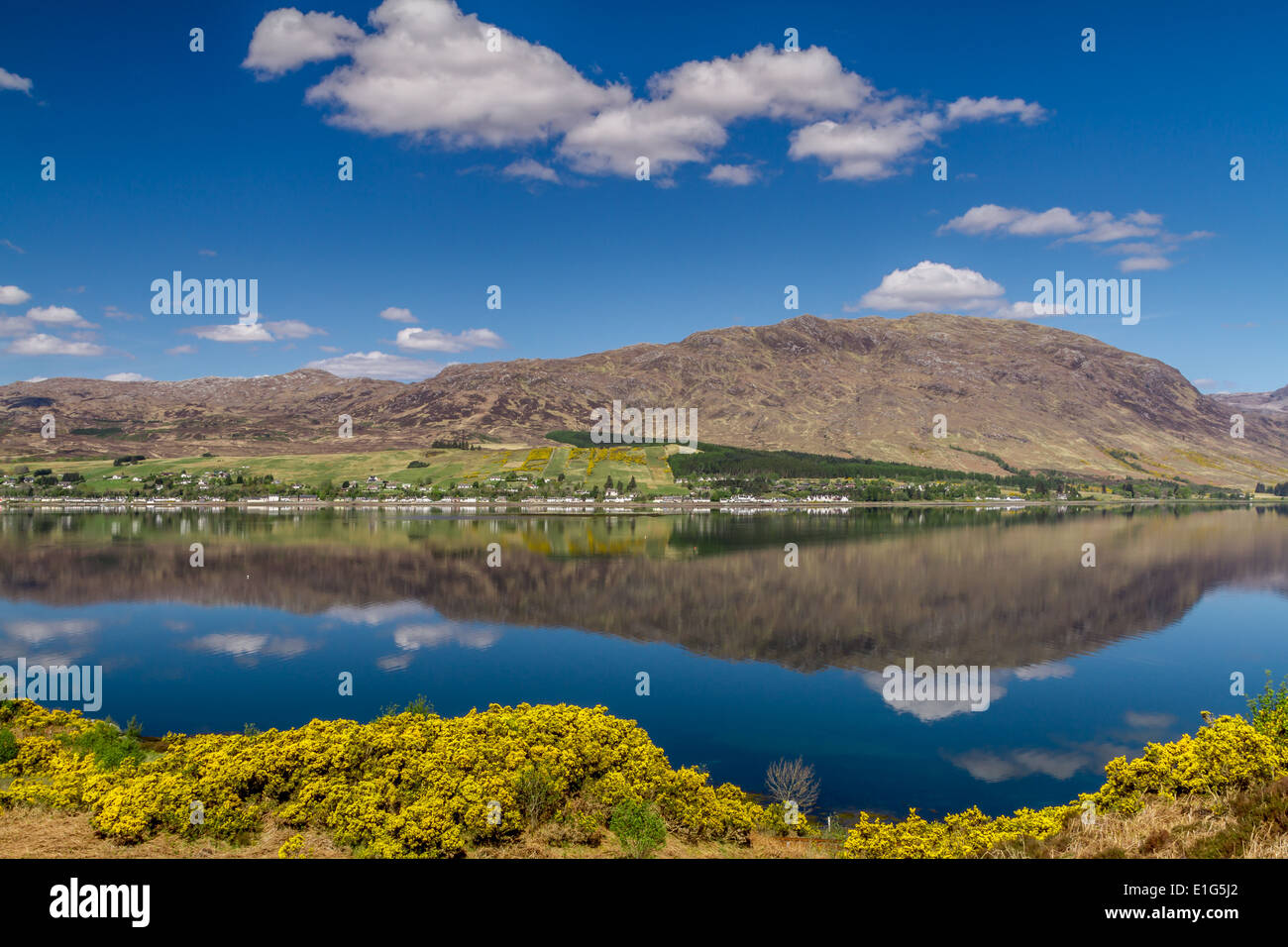 Lochcarron in Scotland and the reflections of the mountain in the loch. Yellow gorse mirroring the shape of the mountain Stock Photo