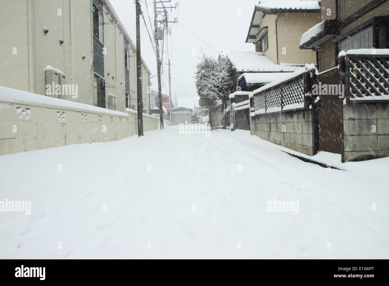 Japan Feb08 The heaviest snow in decades in Tokyo and other areas of