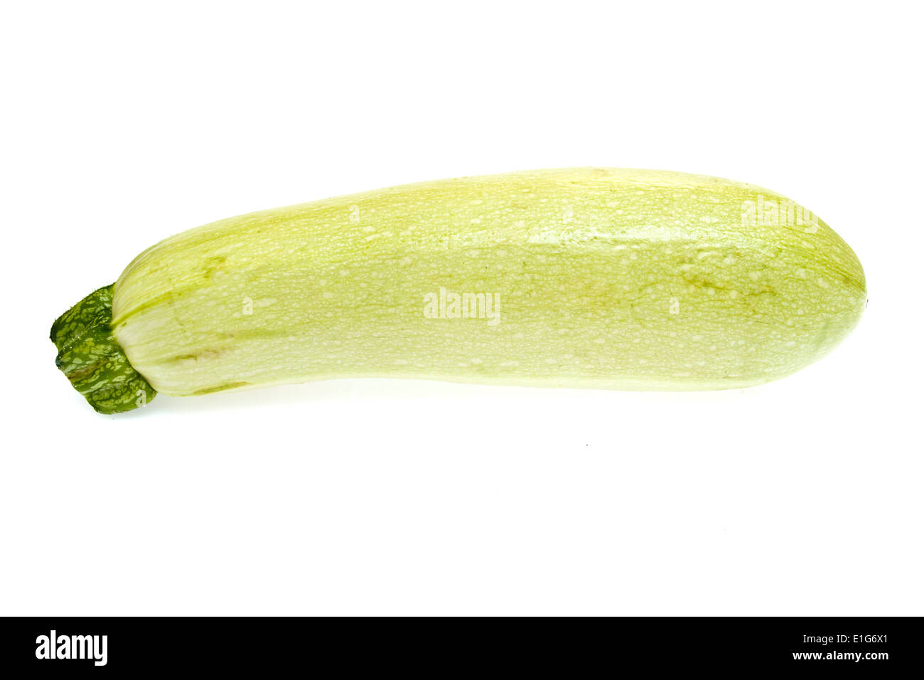 The Fresh Zucchini Isolated on White Background. Stock Photo