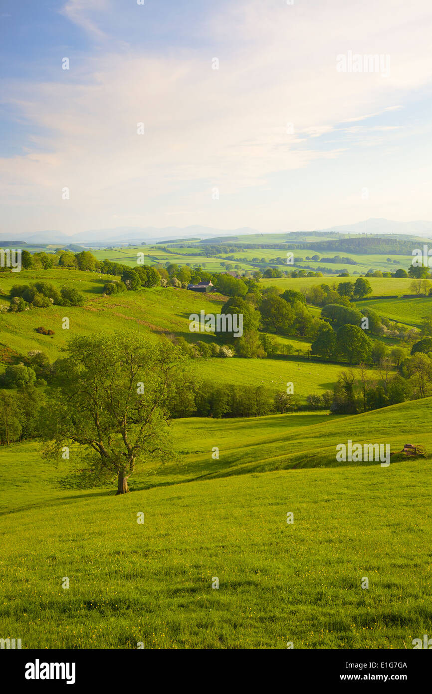 Ainstable hi-res stock photography and images - Alamy