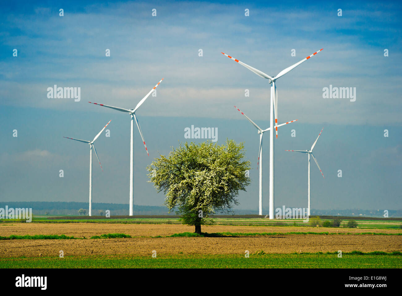 Wind turbine (farm, windpark, electric windmill) and a tree on the field and blue sky. Stock Photo