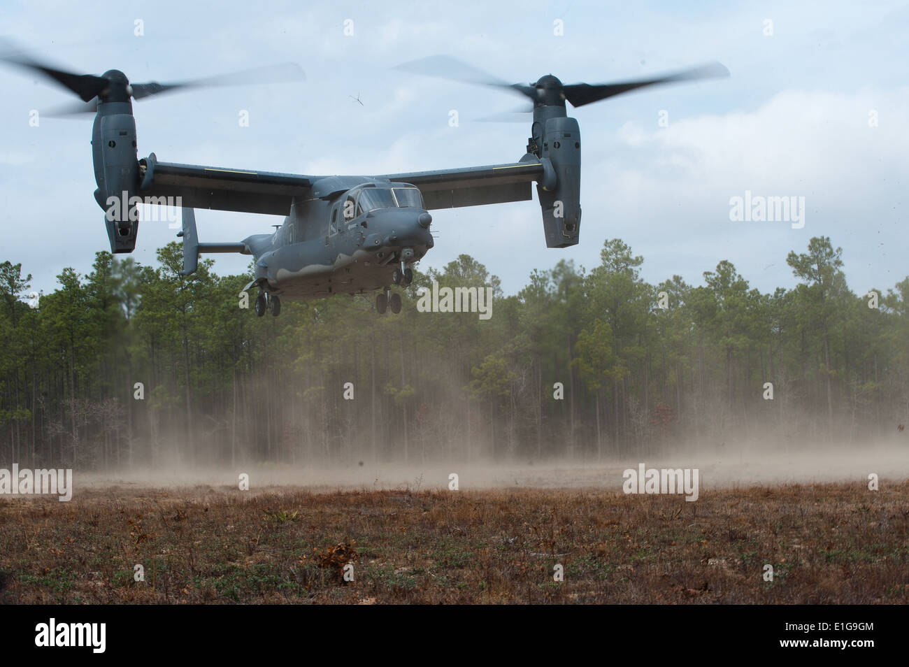 A U.S. Air Force CV-22 Osprey tilt-rotor aircraft from the 8th Special Operations Squadron 'Black Birds' lands during a local t Stock Photo