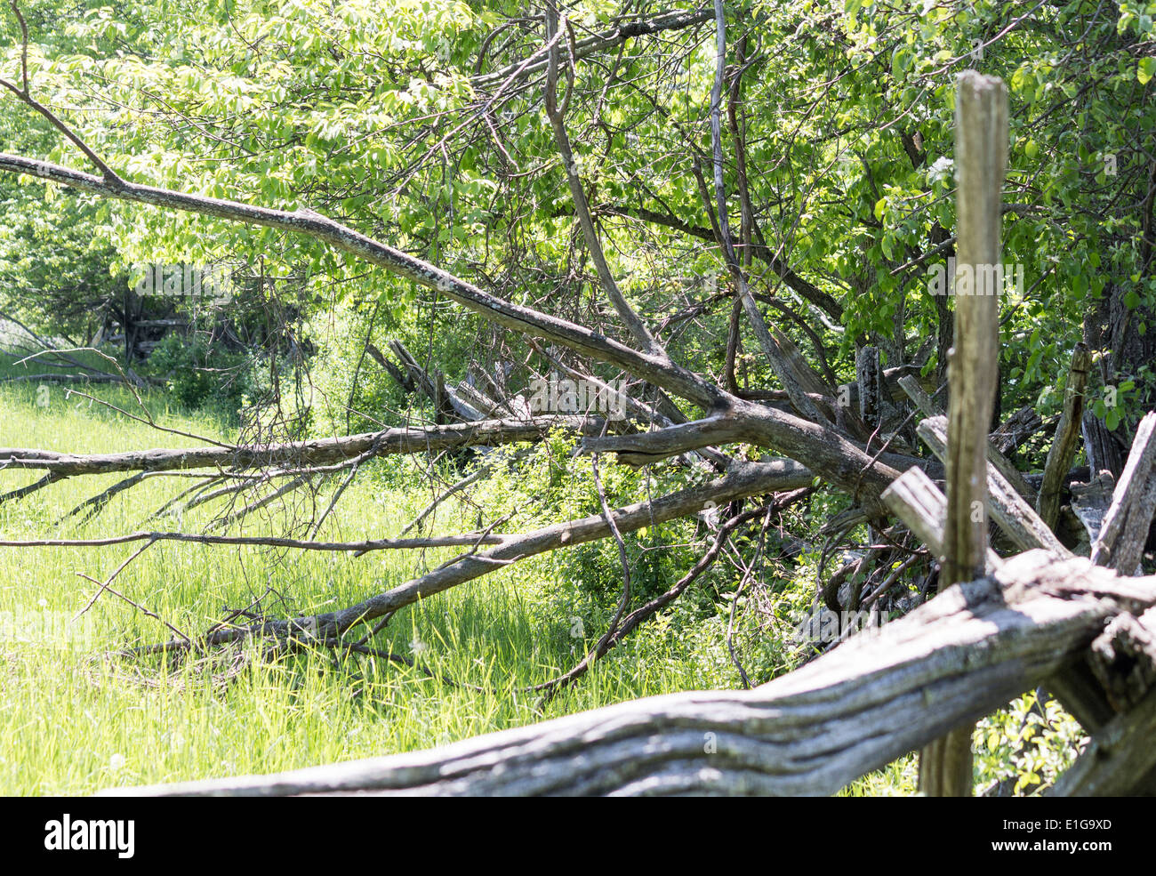 Farm split rail fence hires stock photography and images Alamy