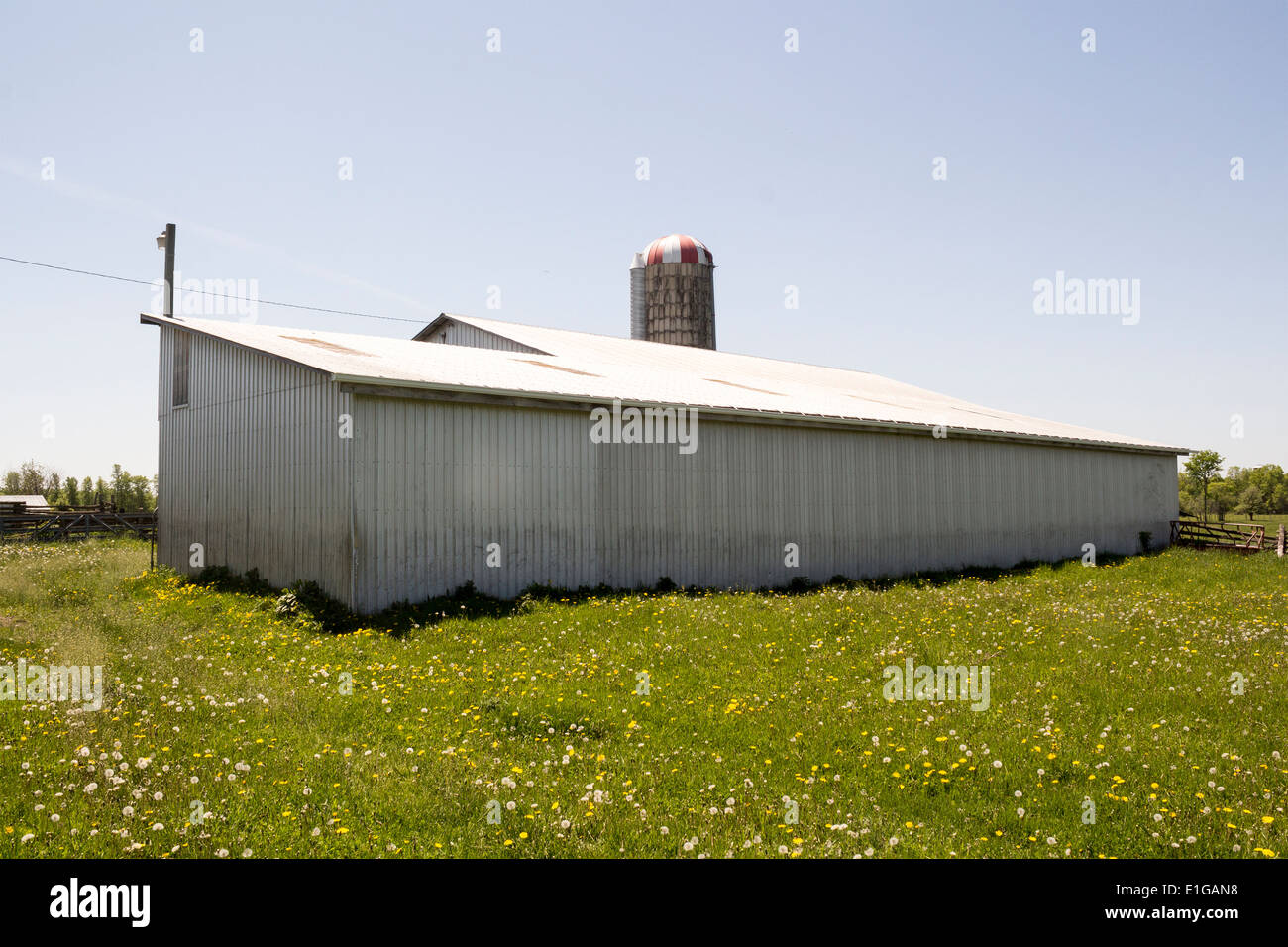 Large farm outbuilding with silo in the background. Stock Photo