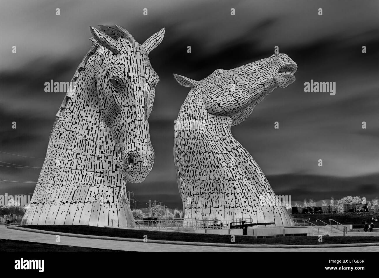 Monochrome image of the Kelpies in Falkirk Scotland Stock Photo