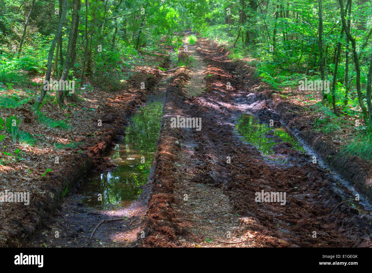 Puddles muddy path hires stock photography and images Alamy