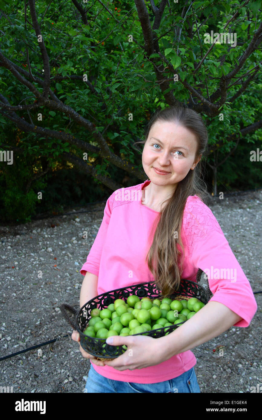 beautiful girl collecting green plums for eating Stock Photo Alamy