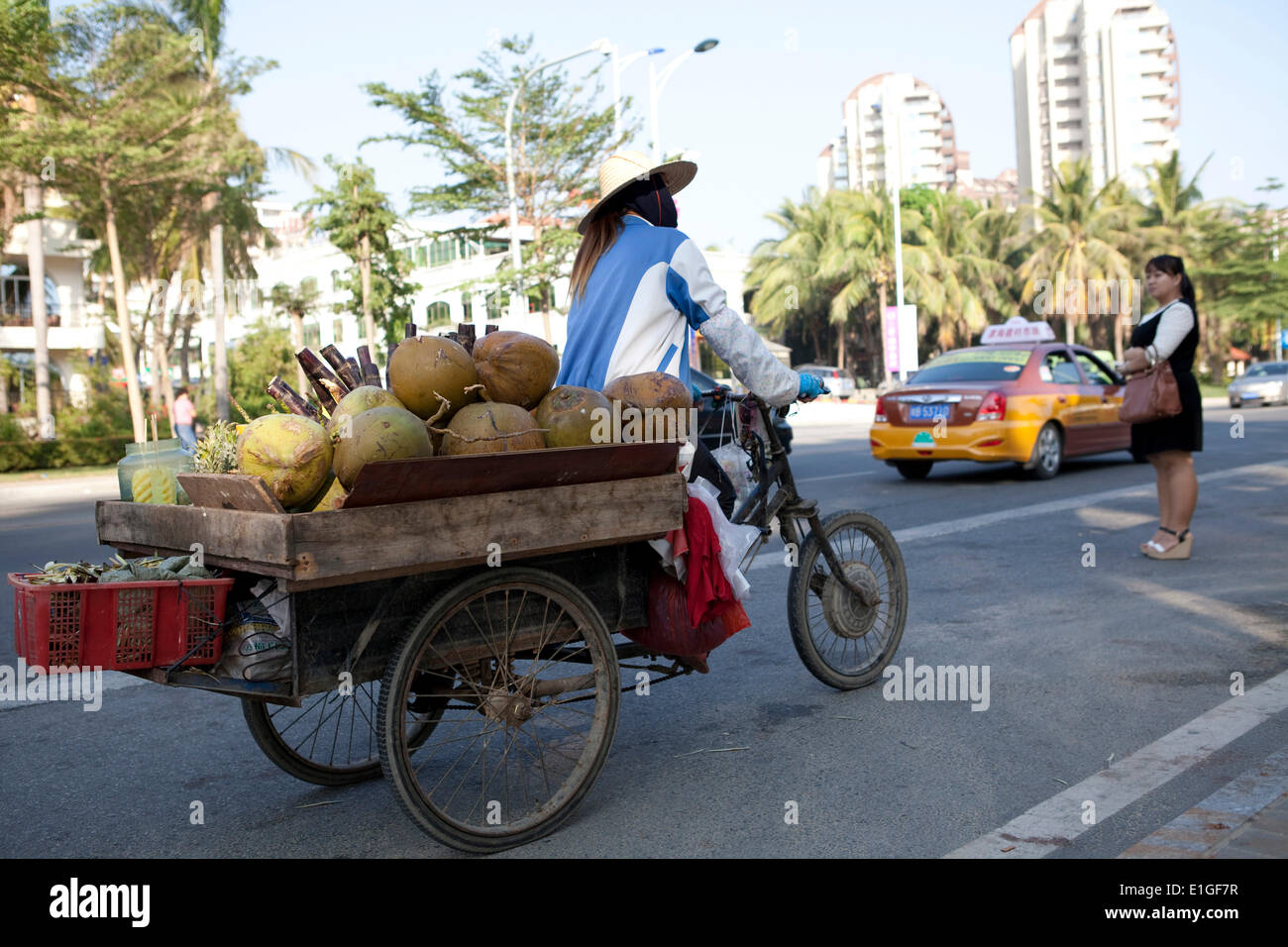 A woman driving a bike full of sugar cane and coconuts in Sanya, Hainan, China, on 07 January 2014. Stock Photo