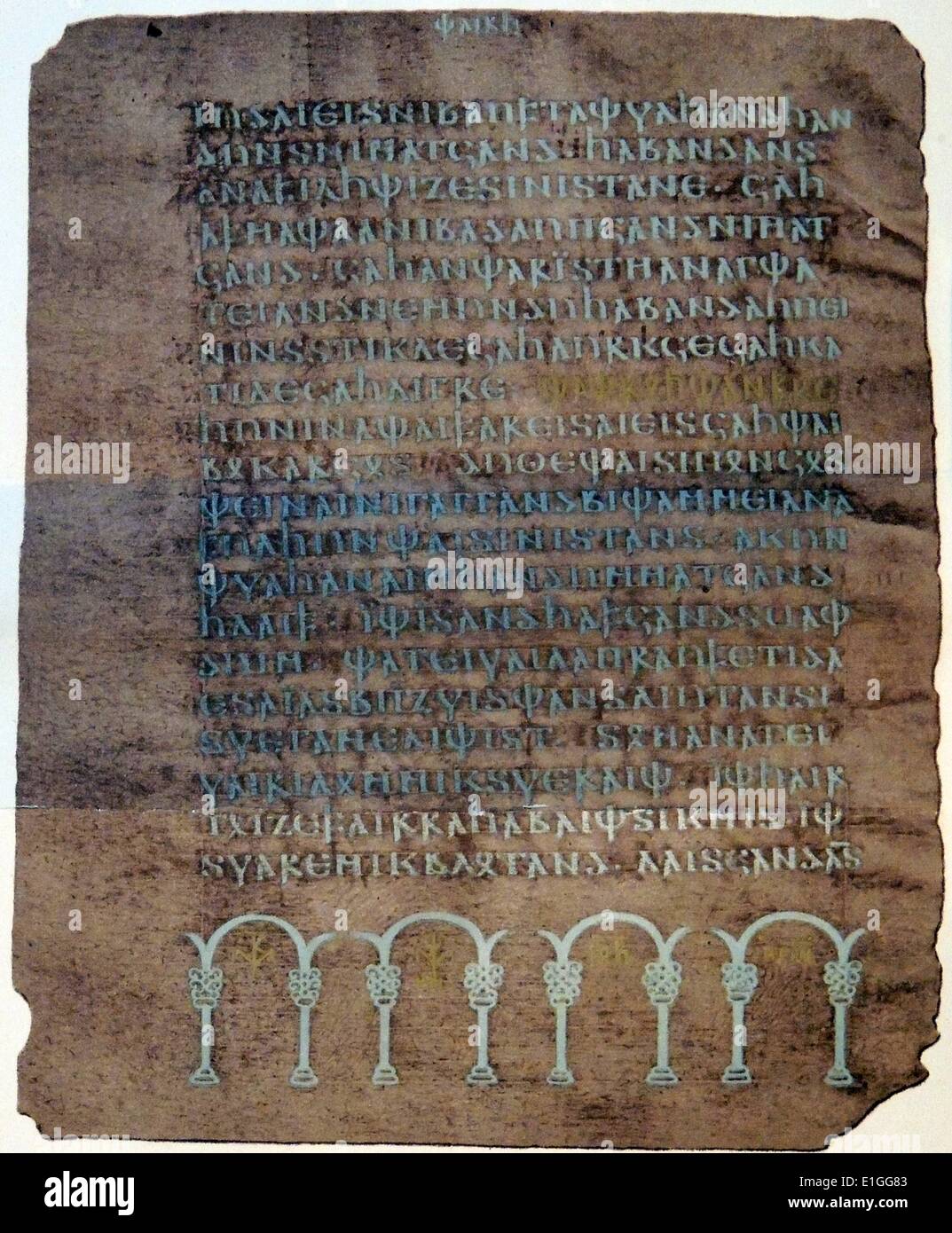 Codex argenteus hires stock photography and images Alamy