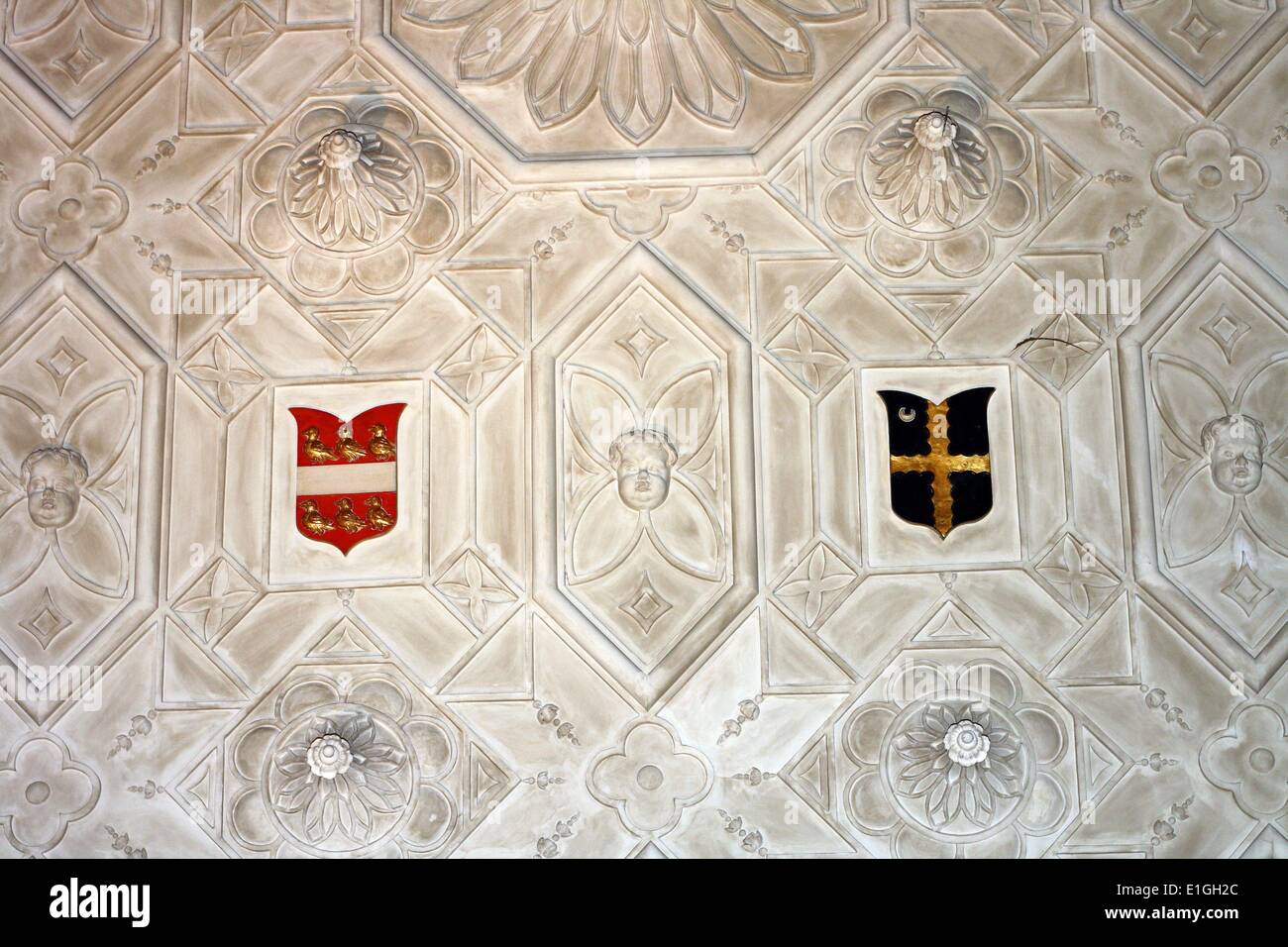 17th Century Plaster Ceiling Showing Decorative Embellishments