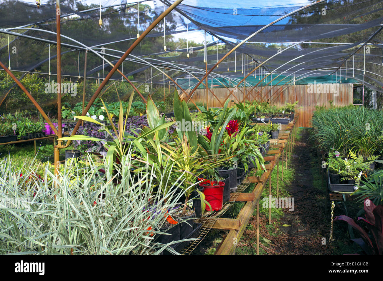 Greenhouse centre display hires stock photography and images Alamy