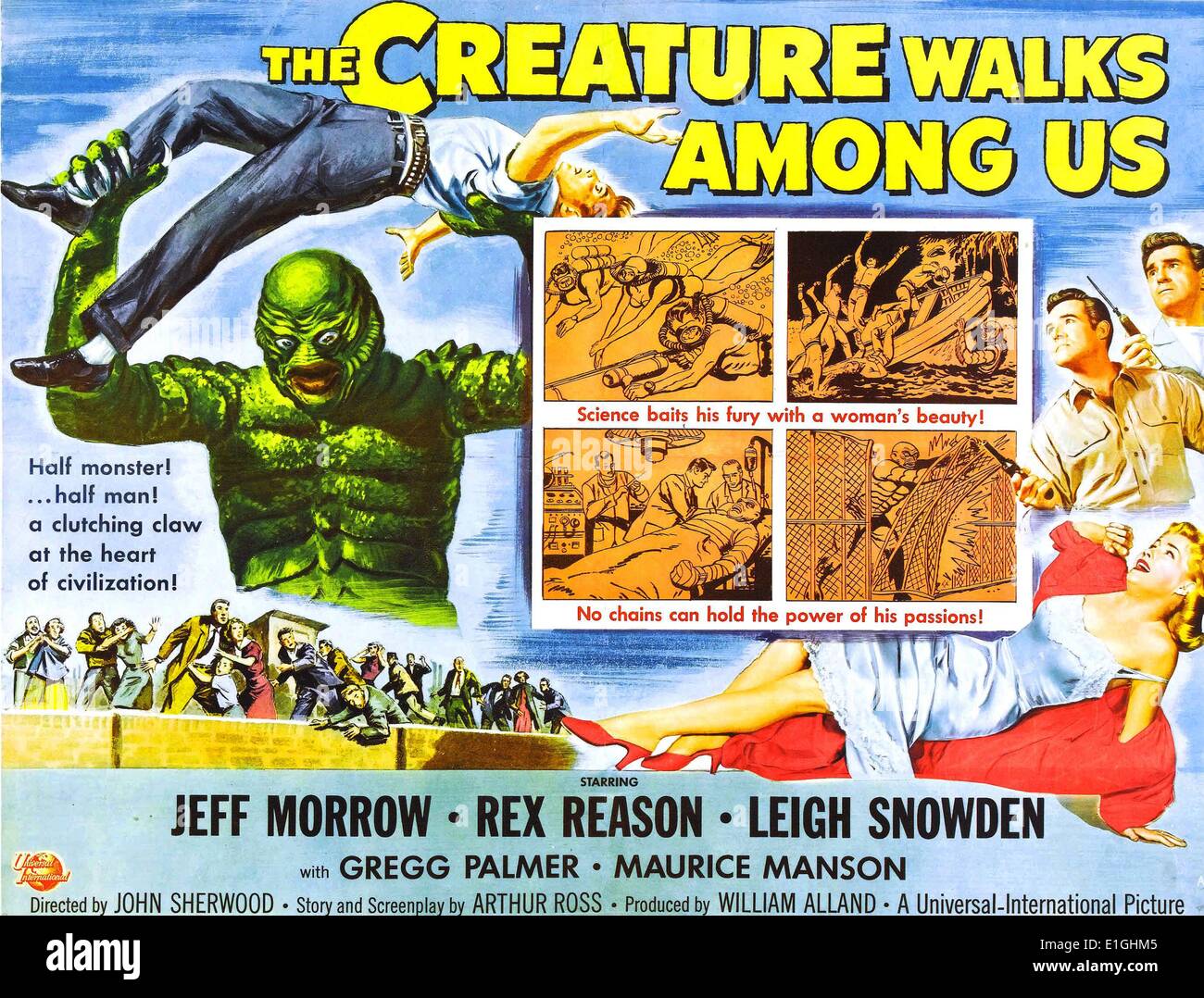The Creature Walks Among Us is the final installment of the Creature from the Black Lagoon horror film series, released in 1956. It stars Ricou Browning. Stock Photo