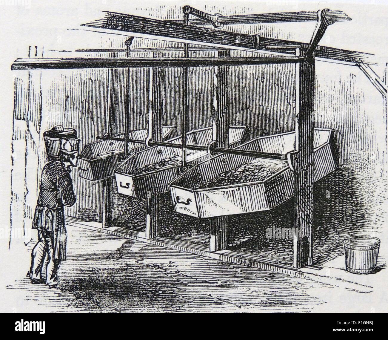 Roasted coffee beans left to cool. Engraving, London, 1866 Stock Photo Alamy