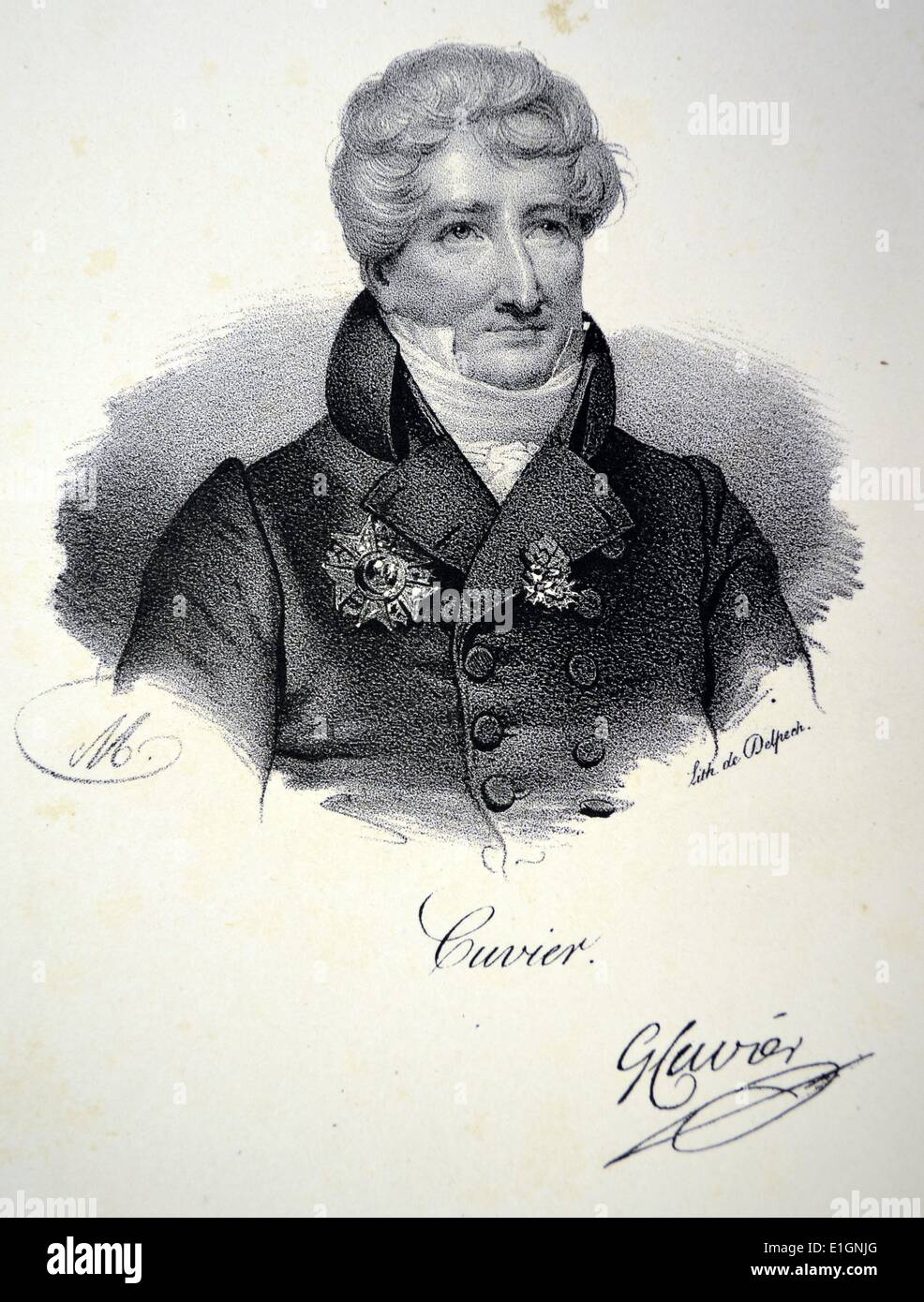 cuvier hires stock photography and images Alamy