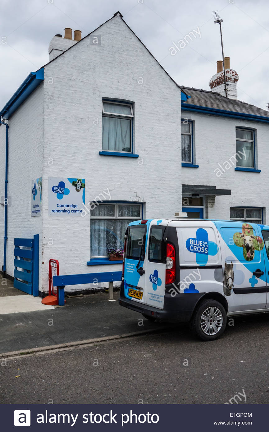 blue cross rehoming centre