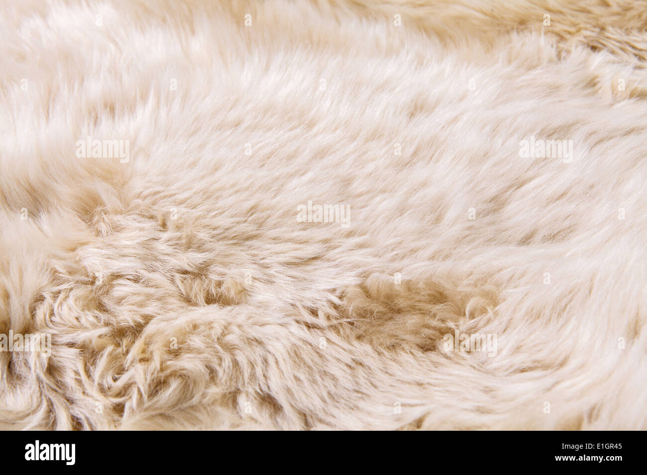 close up texture of fur carpet for background Stock Photo Alamy