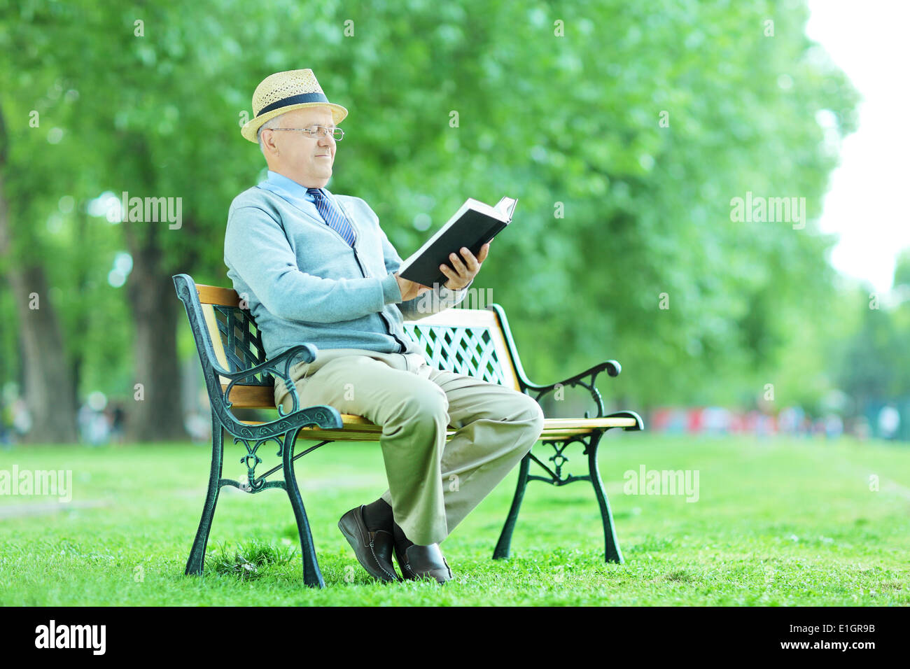 Elderly reading a novel seated on bench in the park Stock Photo - Alamy