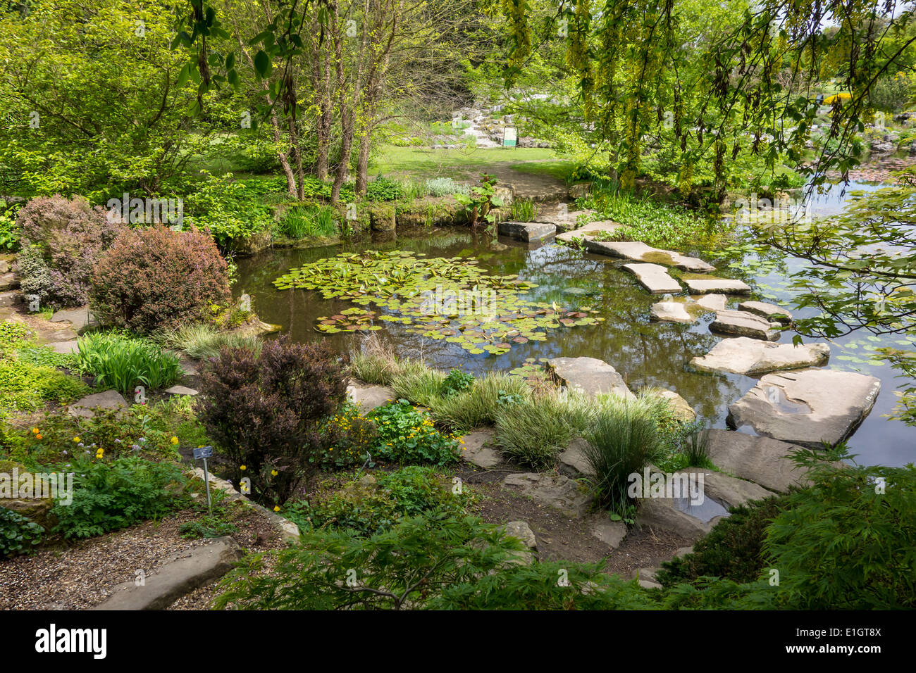 Stepping Stones Cambridge Botanic Gardens Stock Photo