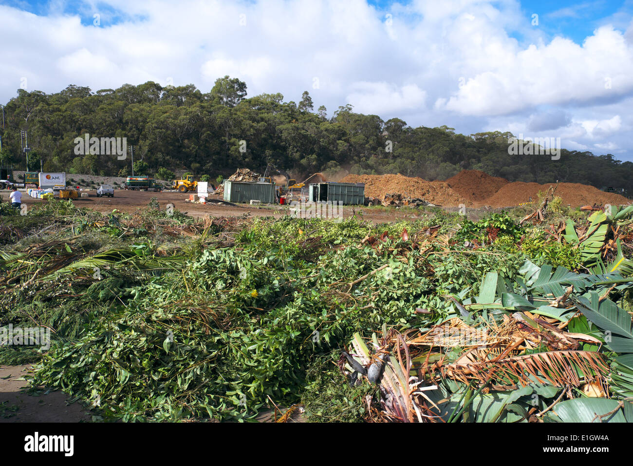 Garden waste being recycled at a sydney recycling plant in terrey hills