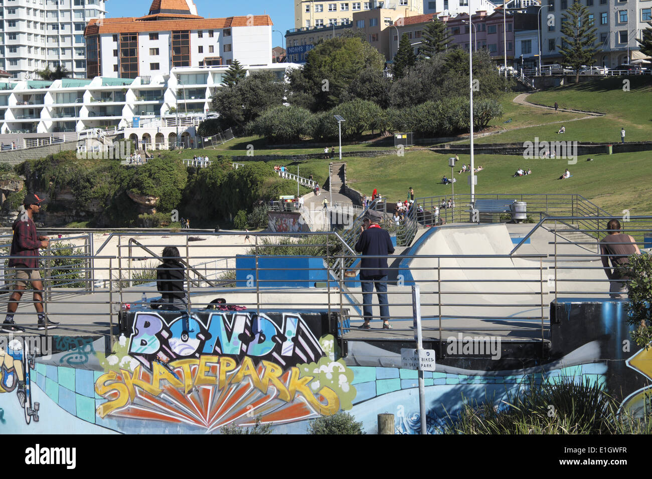 skatepark at bondi beach,sydney,NSW,australia Stock Photo Alamy