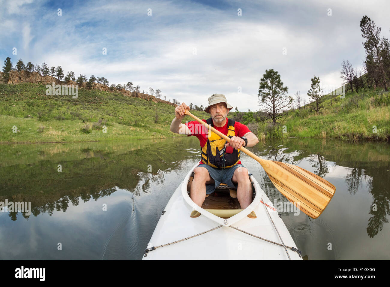 senior athletic paddler in a decked expedition canoe on a lake with green vegetation Stock Photo